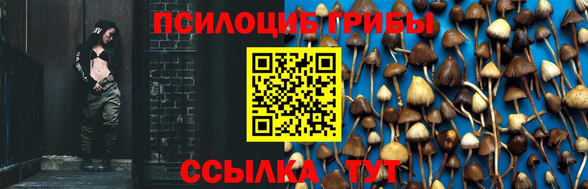 Галлюциногенные грибы MAGIC MUSHROOMS  Вход с VPN  Саранск 