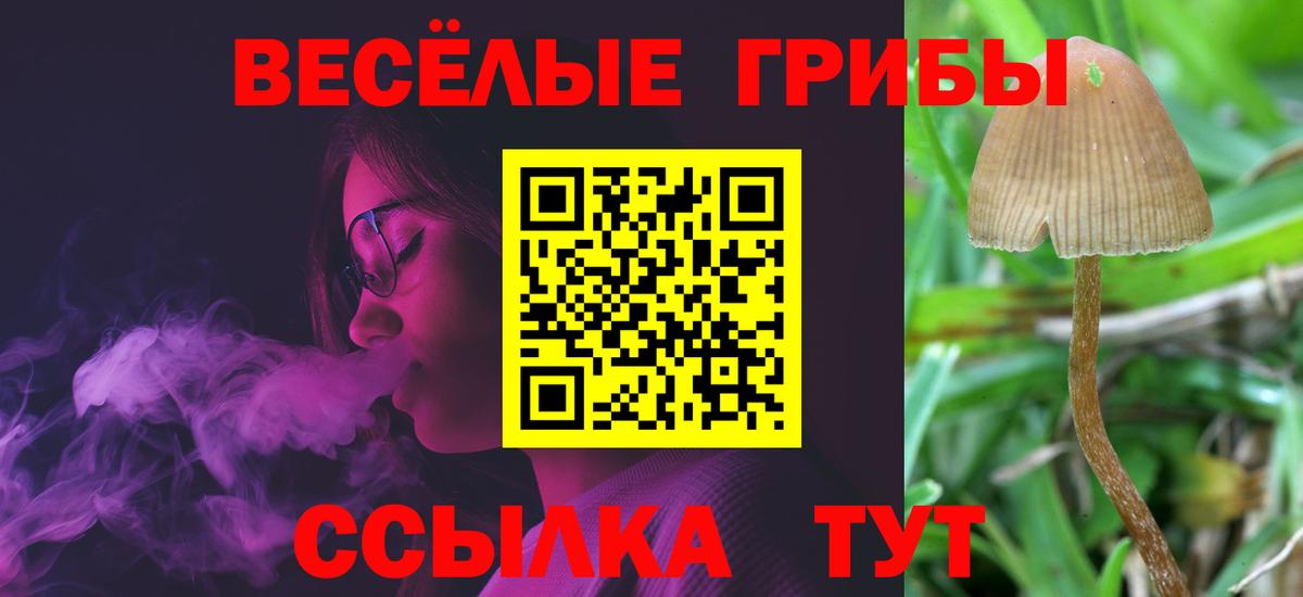 Галлюциногенные грибы ЛСД Саранск